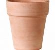 Amenagement Salon De Jardin Élégant Pot De Jardin En Terracotta Rond Conique White 0d W