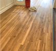 Brico Depot Inspirant 15 Cute Hardwood Floor Colors Home Depot