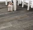 Brico Depot Montlucon Luxe Carrelage Roger