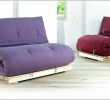 Canape Lit Jardin Nouveau Unique Canape Angle Velour Luckytroll