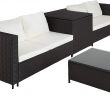 Canape Resine Tressee Exterieur Élégant Tectake Salon De Jardin 4 Personnes En Résine Tressée 2 Canapés Modulables Coffre De Rangement Et Table Basse En Verre Inclus – Plusieurs