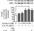 Centre Leclerc Roques Beau Jak Stat1 3 Induced Expression Of Signal Sequence Encoding