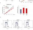 Eclerc Voyage Nouveau Smc5 6 Acts Jointly with Fanconi Anemia Factors to Support