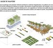 Ensemble Jardin Beau Plantage Typologies