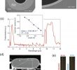 Fabrication Palette Frais Recent Progress and Perspectives Of thermally Drawn