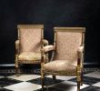 Fauteuil Mobilier De France Charmant Jacob Desmalter Et Cie A Pair Of Empire Fauteuils by Jacob