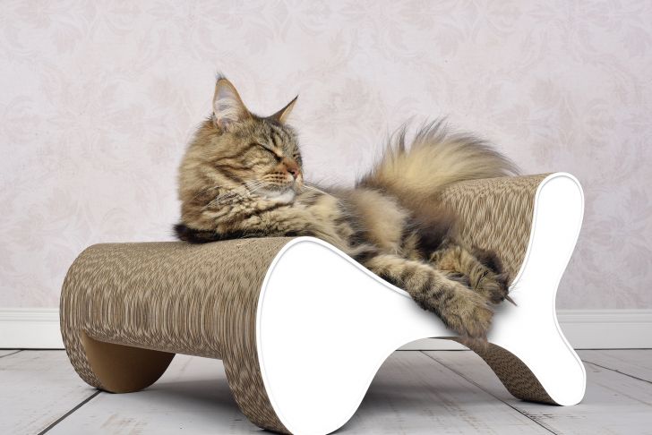 Fauteuil Tressé Best Of Molecular Fauteuil Design Cat Scratcher