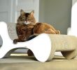 Fauteuil Tressé Frais Molecular Fauteuil Design Cat Scratcher