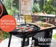 Housse De Protection Salon De Jardin Castorama Best Of Catalogue Castorama Barbecues Et Planchas 2013 by Joe