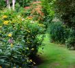 Jardinier Pas Cher Élégant Jardin D atmosphere Du Petit Bordeaux Pays De La Loire