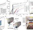 Leclerc Market Unique atomic‐ and Molecular‐level Design Of Functional Metal