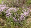 Mange Debout Exterieur Beau Le Jardin De L Abbaye