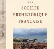 Mobilier De France Le Mans Beau 22 2017 tome 114 4 P 691 710 Fabien Convertini Les Dégraissants Des Céramiques Des Sites D € Avignon Vaucluse Nouvelles Données Nouvelles