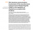 Numero Leclerc Unique Skin Bacteria Munication Involvement Of the Neurohormone