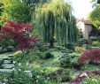 Petit Salon De Jardin Best Of Chateau De Courances 2020 All You Need to Know before You