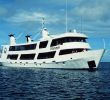 Promo Jardin Frais Mv Odyssey Liveaboard