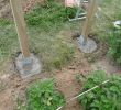 Salon De Jardin Bas En Bois Inspirant Construire Une Serre De Jardin En Bois Retour D Expérience