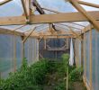 Salon De Jardin Bas En Bois Unique Construire Une Serre De Jardin En Bois Retour D Expérience