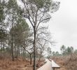 Salon De Jardin Bois Exotique Charmant Olgga Architects atelier Cambium the Plaine Des Sports