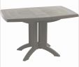 Salon Jardin Resine Encastrable Inspirant Awesome Table De Jardin Extensible Auchan Contemporary