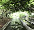 Table De Jardin En Bois Beau Living In Paris France the Good the Bad and the Ugly