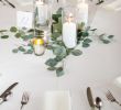 Table Eucalyptus Frais Jan Conners Janconners On Pinterest