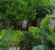 Table Jardin Bistrot Charmant the Provence Post August 2012