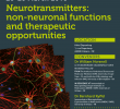 Table Jardin Promo Frais Neurotransmitters Non Neuronal Functions and therapeutic