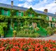 Agapanthe Jardin Élégant Fondation Monet In Giverny