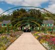 Agapanthe Jardin Frais Fondation Monet In Giverny Wikiwand