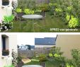 Aménagement Cour Extérieur Pas Cher Inspirant D Coration Jardin Pas Cher Idee Pour Decorer son