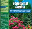 Amenagement Jardin Avec Gravier Frais Engrais Fenomenal Garden 75 Gr Kb Mr Bricolage