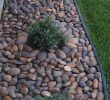 Amenagement Jardin Avec Gravier Luxe 30 Fancy Garden Decorating Ideas with Rocks and Stones