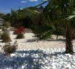 Amenagement Jardin Avec Gravier Nouveau Massif Piscine Galets Et Graviers