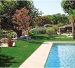 Amenagement Jardin Avec Piscine Unique Gazon Synthétique Chambord 30 Mm 1m X 3m