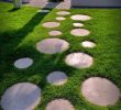 Amenagement Jardin Unique Chemin De Jardin En Pas Japonais –10 Idées D Aménagement