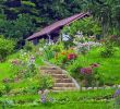 Amenagement Petit Jardin Avec Piscine Unique Aménager Un Talus