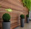 Amenagement Terrasse Bois Jardin Luxe écran Et Cl´ture Aérée – Mur   Lames En Bois