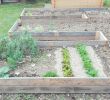 Aménager son Jardin Élégant Truc & Tricks Aménager son Jardin Potager Avec Des Palettes