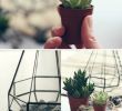 Aménager Un Petit Jardin Unique Terrarium à¸ªà¸³à¸ à¸£à¸±à¸à¸à¸·à¸ à¸à¸²à¸£à¸à¸§à¸à¸§à¸´à¸à¸²à¸à¸µà¹à¸à¸°à¸à¸³à¸¡à¸±à¸à¹à¸¥à¸°à¸à¸§à¹à¸² 70 à¸£à¸¸à¹à¸