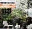 Architecte De Jardin Best Of New Urban A Foo Family Create their Dream Home