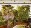 Architecte De Jardin Frais 14 Beautiful Backyards with Level Difference