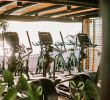 Architecte Jardin Beau Hotel Jard­n Tropical Ocean Gym Tenerife