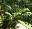 Au Jardin Frais Du Four Au Jardin Et Mes Dix Doigts Jardin De Balata 3