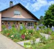 Au Jardin Luxe Graphe Chiny Libramont