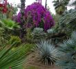 Blatte Jardin Unique Jardin Majorelle Marrakech 2020 All You Need to Know