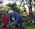 Bordure Jardin Truffaut Génial Ment Créer Un Jardin D Herbes Aromatiques Jardinerie Truffaut Tv