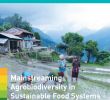 Catalogue Leclerc Jardin 2020 Best Of Mainstreaming Agrobiodiversity In Sustainable Food Systems