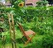 Cherche Personne Pour Travaux Jardin Frais Permaculture — Wikipédia