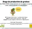 Cherche Personne Pour Travaux Jardin Inspirant 500 500